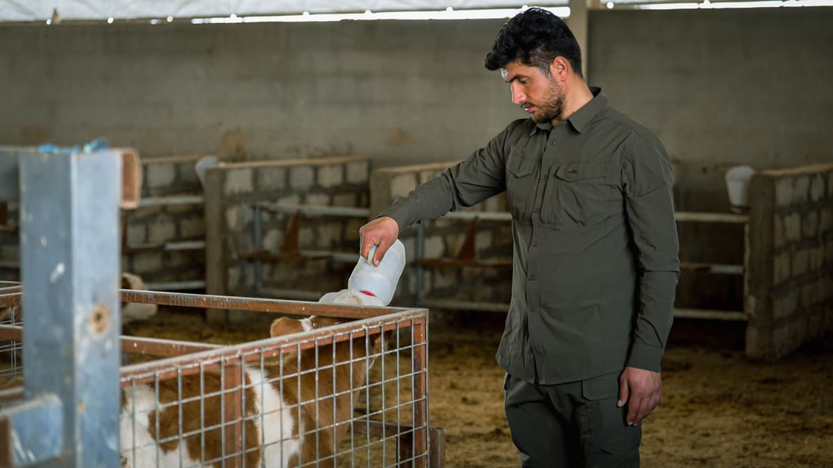 الزراعة والثروة الحيوانية